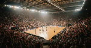 Live Betting in New Zealand 2026 — The Bookmakers and the Rules