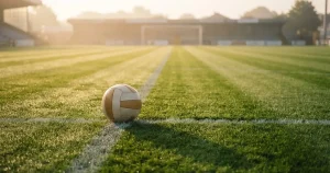 Sports betting guides NZ 2026 — what TAB NZ allows and what offshore costs you