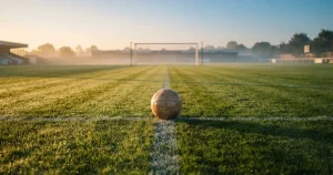 Sports Betting Sites Reviews NZ — TAB and Betcha vs Offshore Brands
